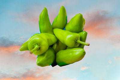 Close-up of green chili peppers