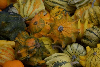 High angle view of pumpkins for sale