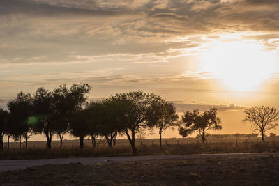 Trees on landscape against sky at sunset