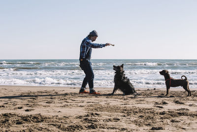 Caucasian male playing with dogs on the beach during a sunny day. man and dog having fun by the sea