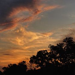 Low angle view of silhouette trees against sky during sunset