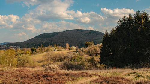 Scenic view of landscape against sky