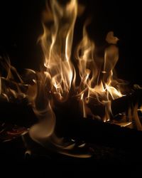 Close-up of fire in the dark