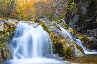 Scenic view of waterfall in forest