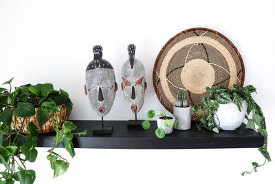 Close-up of potted plants on table against white background