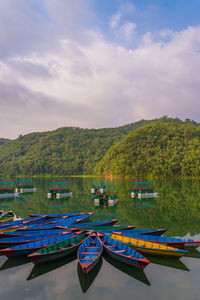 Boats moored in calm pokhara lake