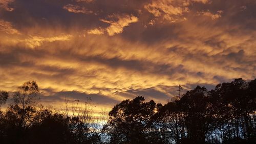 Low angle view of trees against cloudy sky