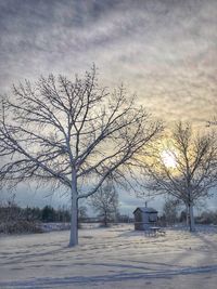 Bare tree on snow covered field against sky