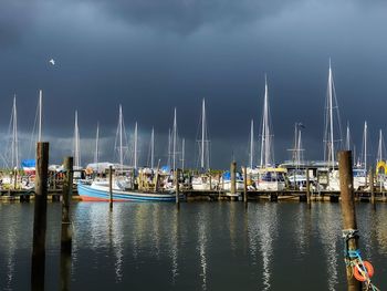 Sailboats moored at harbor against sky