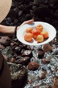 High angle view of hand holding fruits