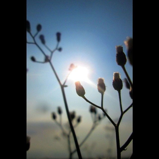 Indonesia_photography