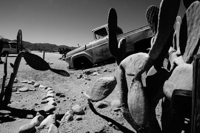 Cars on sand against sky