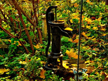 Close-up of statue against trees