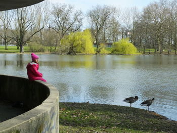 View of swan in lake