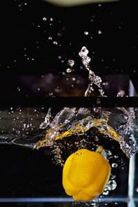 Close-up of yellow splashing water against black background