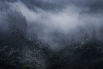 Scenic view of fog