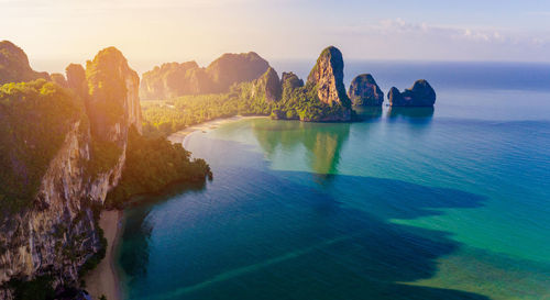 Aerial view of trees on coastline