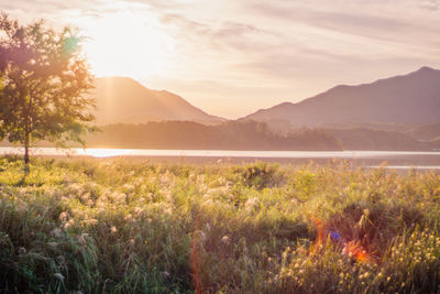 Scenic view of land against sky during sunset