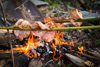 Close-up of pork cooking on bonfire