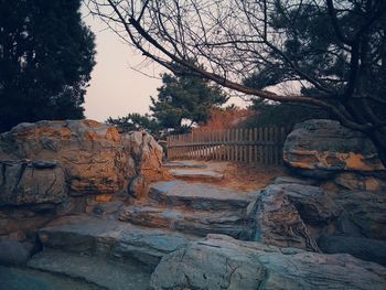 Stone wall and trees against sky