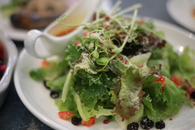 High angle view of salad in plate