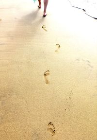 Low section of person walking on wet beach