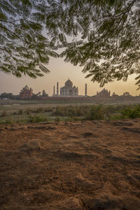 Trees and buildings against sky