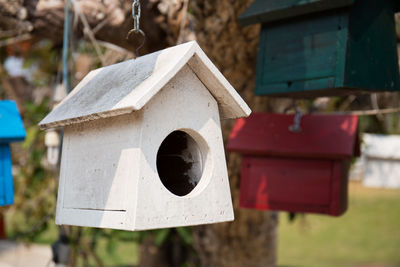 Close-up of birdhouse on field against building