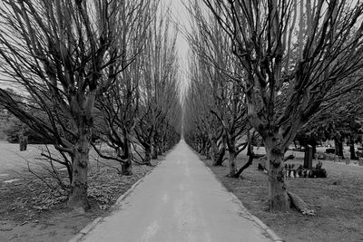 Road amidst bare trees during winter