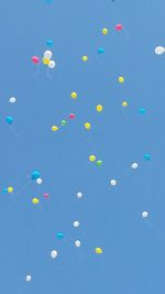 Multi colored balloons in blue sky