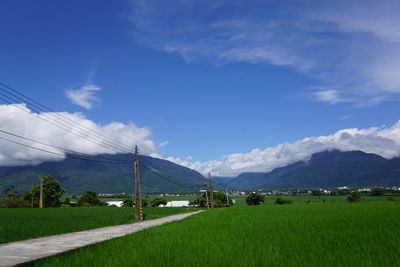 Scenic view of field and mountains against blue sky