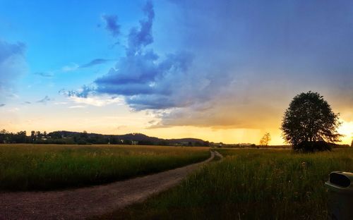Scenic view of field against sky during sunset