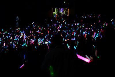 People enjoying at concert