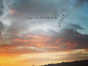 Low angle view of silhouette birds flying against sky during sunset