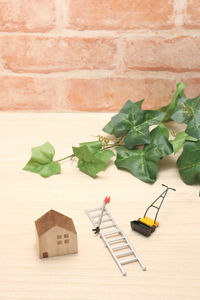 Close-up of leaves on table against wall