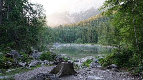 A tree stump surrounded by beautiful lake and mountain scenery at lake eibsee