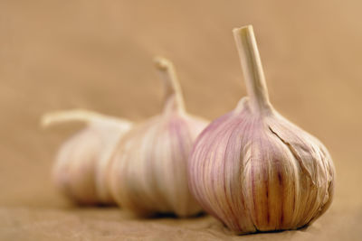 Close-up of garlic on table