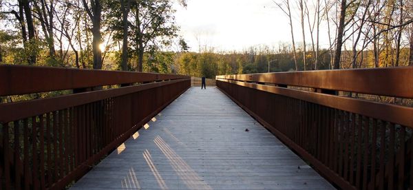 Footbridge amidst trees against sky