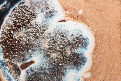 High angle view of ice cream on beach