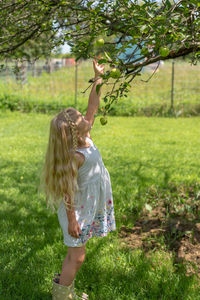 Cute girl standing by tree at farm