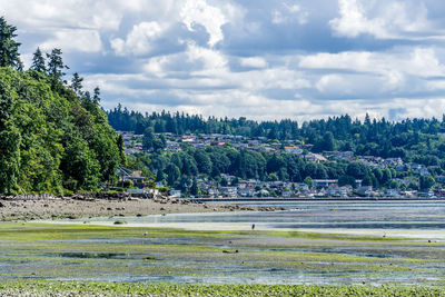 Homes with a view near saltwater state park in des moines, washington.