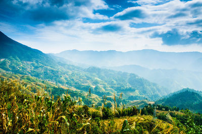 Scenic view of landscape against sky