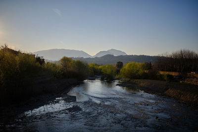 Scenic view of river amidst trees against clear sky
