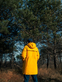 Traveler man in yellow coat walking pine forest sunny weather back view faceless authentic lifestyle