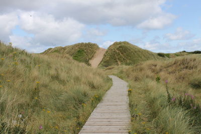 Dirt road passing through landscape