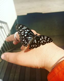 Close-up of cropped hand