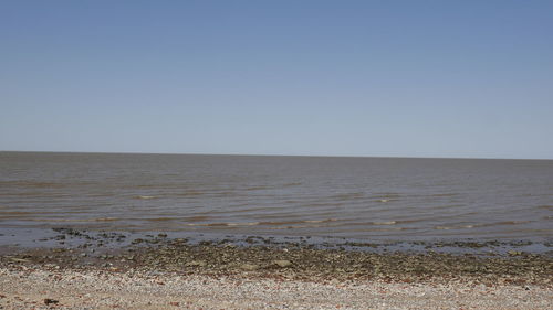 Scenic view of beach against clear sky