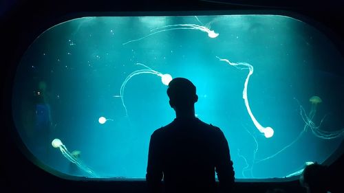 Silhouette man looking aquarium