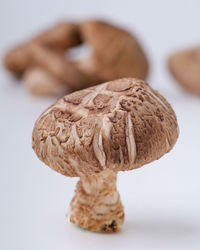 Close-up of cookies on table