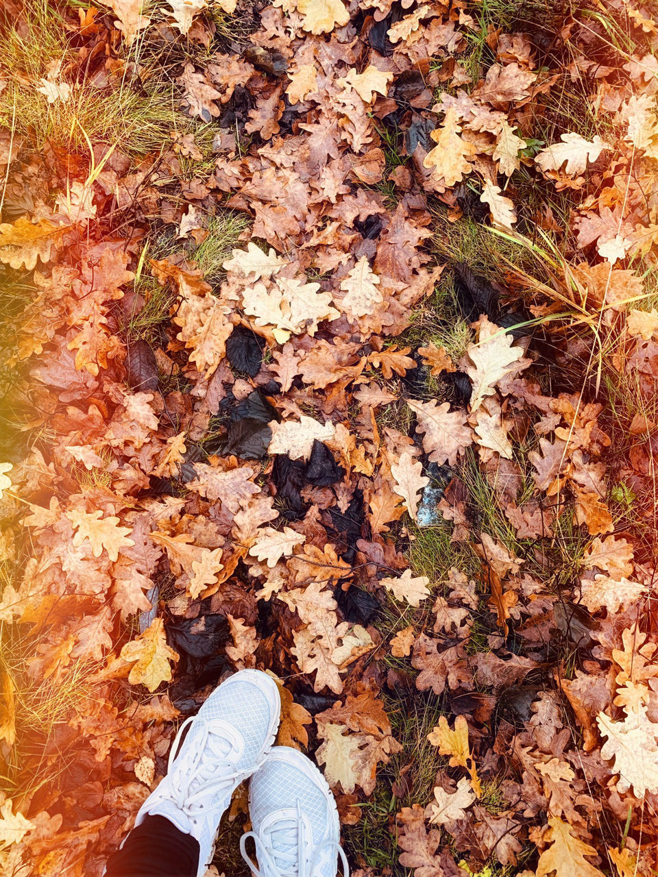 LOW SECTION OF PERSON STANDING ON DRY MAPLE LEAVES